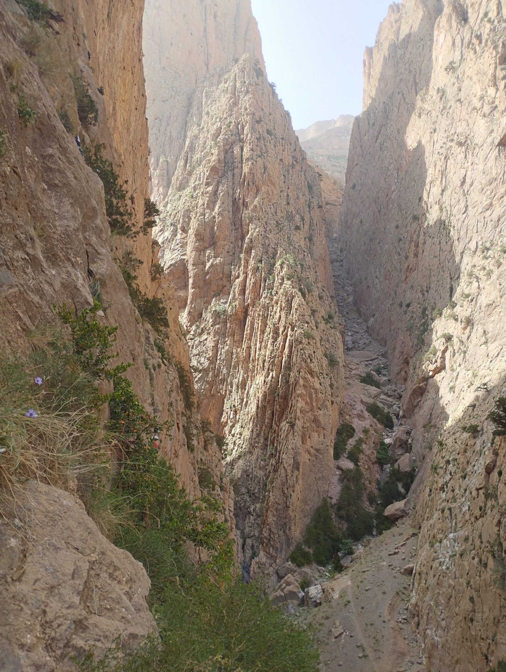 panoramica taghia