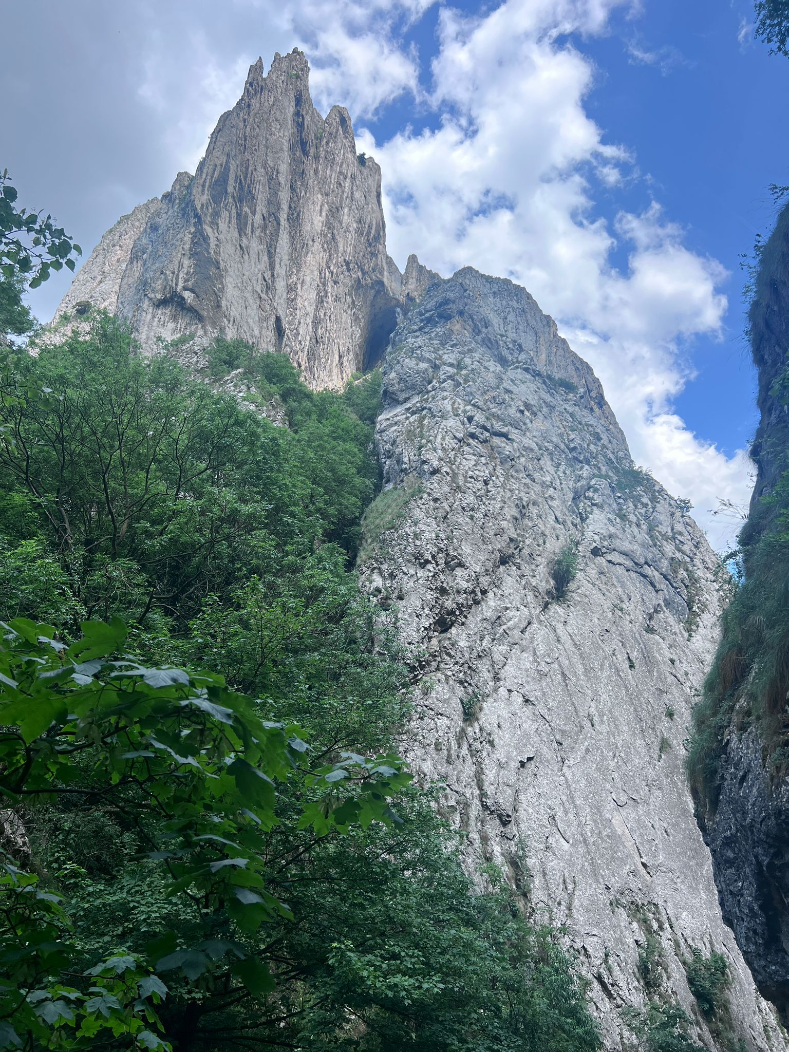 Paredes escalada cheilee Turzi