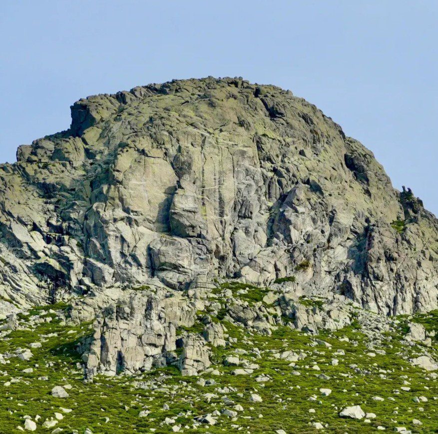 El peñotillo maliciosa
